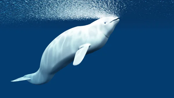3d cg 渲染的白鲸 — 图库照片
