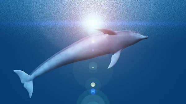3d cg 渲染的海豚 — 图库照片