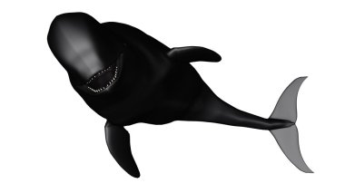 3d cg render bir İspermeçet balinası