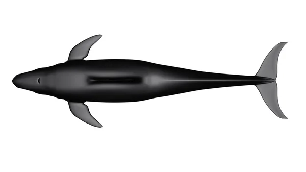 3D CG rendering of a sperm whale — Stock Photo, Image