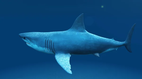 3D-cg rendering van een haai — Stockfoto