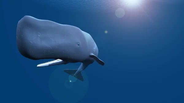 3D CG renderização de uma baleia — Fotografia de Stock