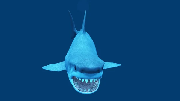 3D-s cg visszaadás-ból egy cápa — Stock Fotó