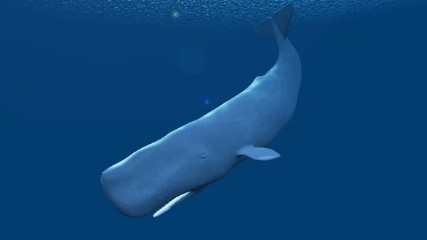 3D CG renderização de uma baleia — Fotografia de Stock