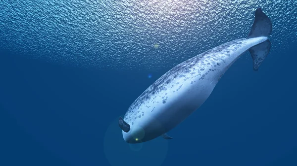 3d cg 渲染的白鲸 — 图库照片