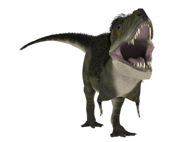 bir dinozor 3d cg işleme