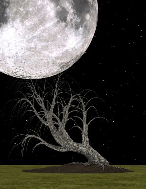 ay ve ağaç 3d cg işleme