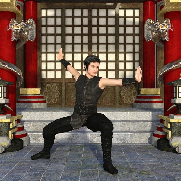 Kung-fu mester — Stock Fotó