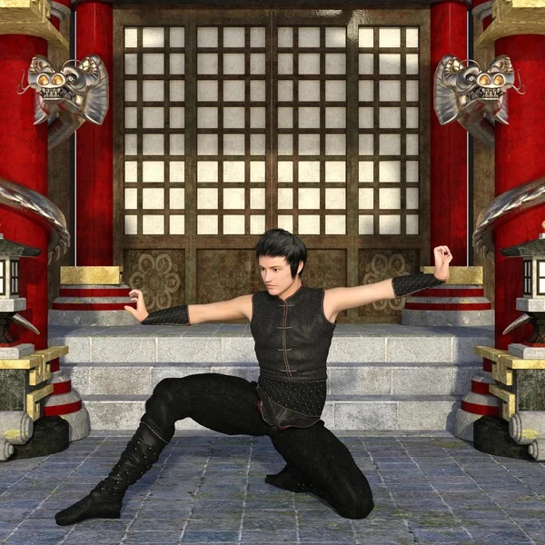 Kung fu master — Stockfoto