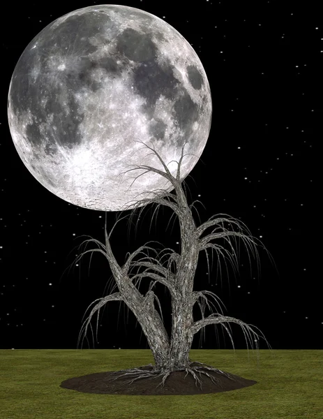 3D cg Darstellung von Mond und Baum — Stockfoto