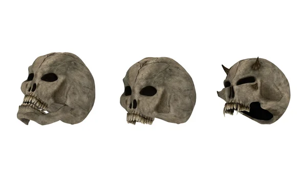 3D-cg rendering van schedel — Stockfoto