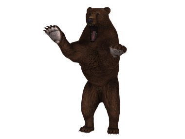 bir ayının 3d cg işleme