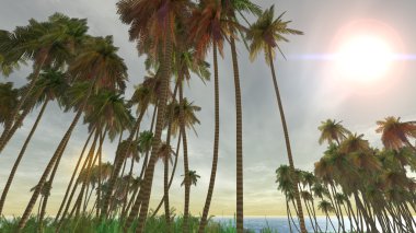 3d cg işleme ve palmiye ağaçlarının 