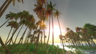 3d cg işleme ve palmiye ağaçlarının 