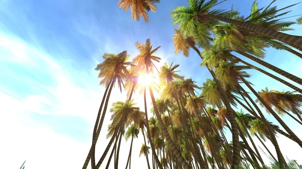 3d cg işleme ve palmiye ağaçlarının — Stok fotoğraf