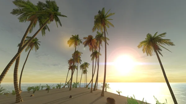3D CG renderização de palmeiras — Fotografia de Stock