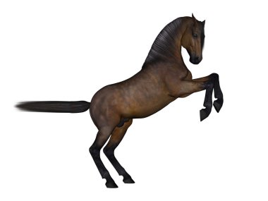 bir at 3d cg işleme