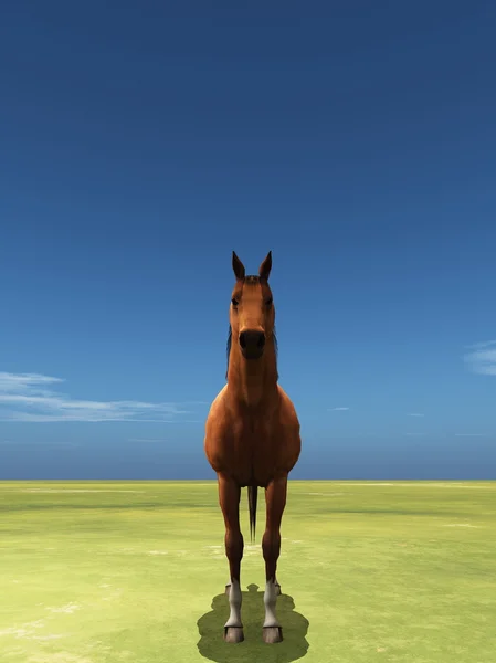 3D CG rendering of a horse — Stock Photo, Image