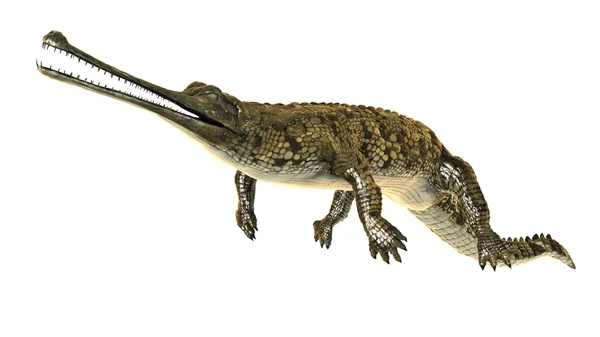 3D-cg-Darstellung eines falschen Gharials — Stockfoto