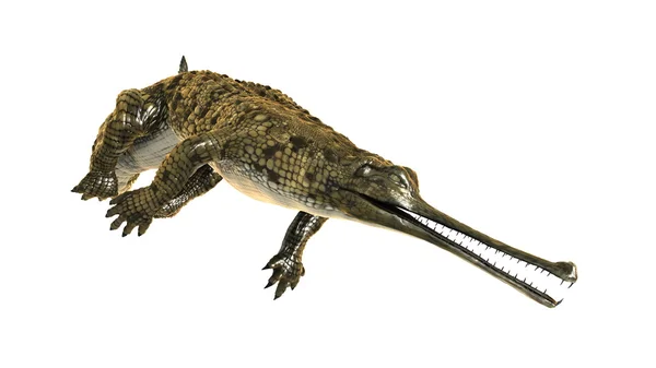 Renderingu 3D cg krokodyl gawialowy — Zdjęcie stockowe