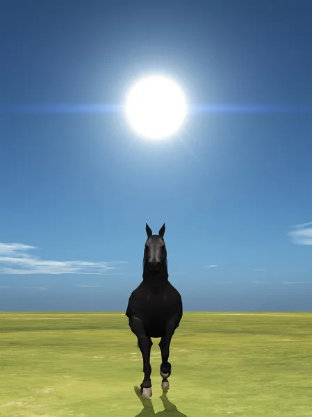 3D CG rendering of a horse — Stock Photo, Image