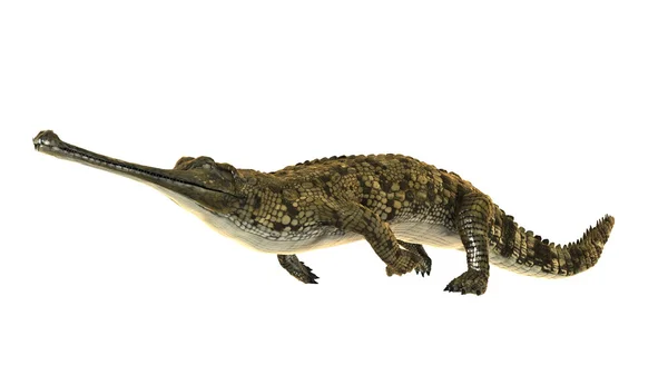 3D cg-rendering av en falsk gharial — Stockfoto