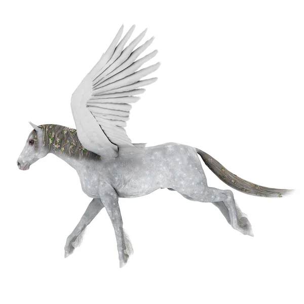 3D-cg rendering van een pegasus — Stockfoto