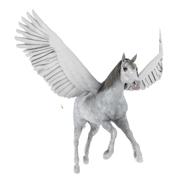 3D cg Darstellung eines Pegasus — Stockfoto