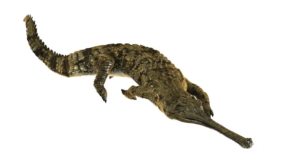 3D CG gengivelse af en falsk gharial - Stock-foto