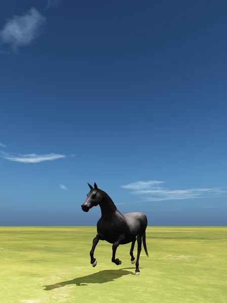 3D CG rendering of a horse — Stock Photo, Image