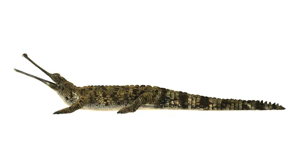 3D CG renderização de um falso gharial — Fotografia de Stock