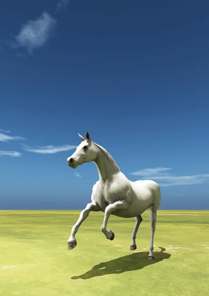 3D CG rendering of a horse — Stock Photo, Image