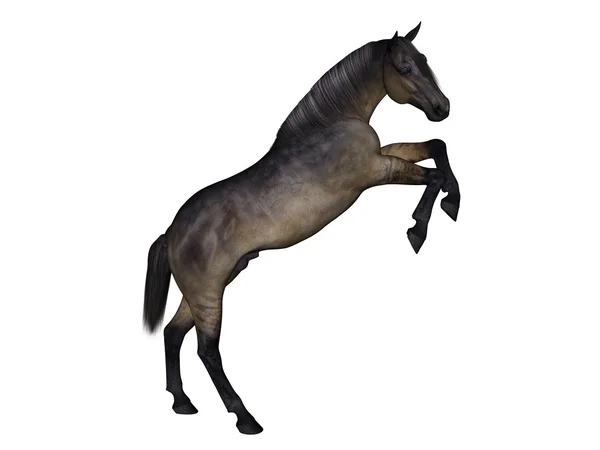 3D cg-rendering av en häst — Stockfoto
