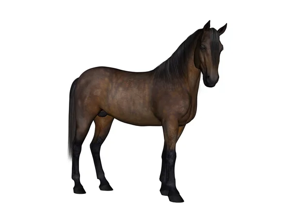 Rendering 3D CG di un cavallo — Foto Stock