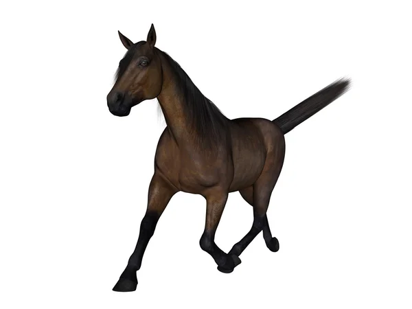 3D CG renderização de um cavalo — Fotografia de Stock