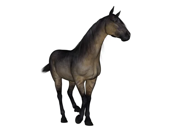 Rendering 3D CG di un cavallo — Foto Stock