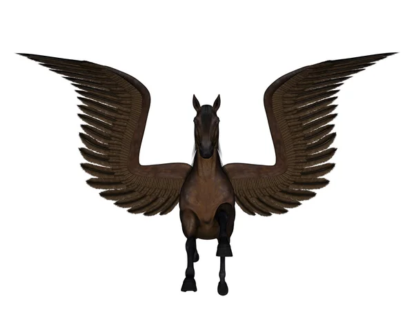 3D CG rendering of a pegasus — Stock Photo, Image
