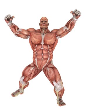 bir insan vücudunun 3d cg işleme