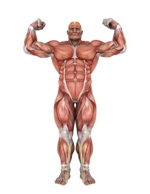 bir insan vücudunun 3d cg işleme