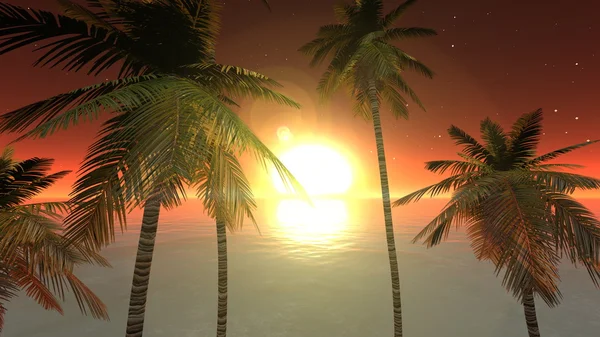 3D-cg rendering van zonstijging — Stockfoto