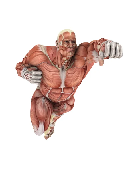 3D CG renderização de um corpo humano — Fotografia de Stock