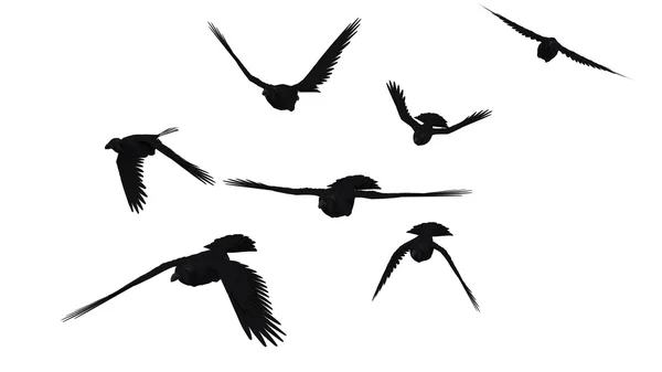 Ptaki — Zdjęcie stockowe