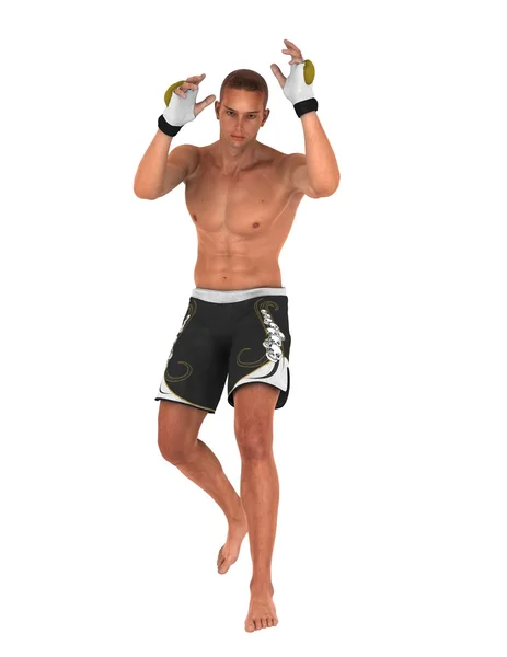 Artysta sztuk walki — Zdjęcie stockowe