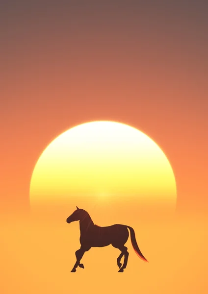 Sun rise and horse — Stock Photo, Image