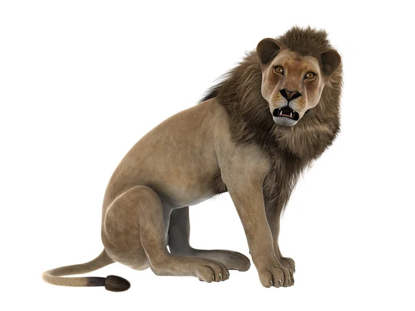 Lion — Stock Photo, Image