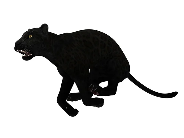 Leopardo nero — Foto Stock