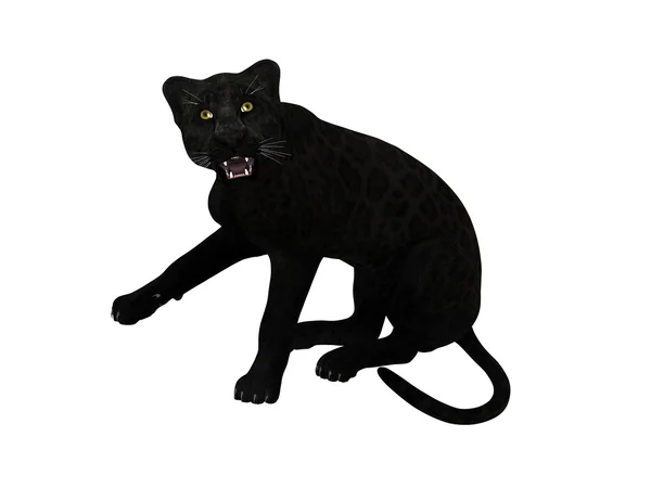 Black leopard — Stock Photo, Image