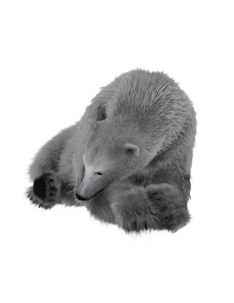 Urso polar — Fotografia de Stock