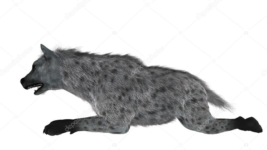 TsuneoMP
