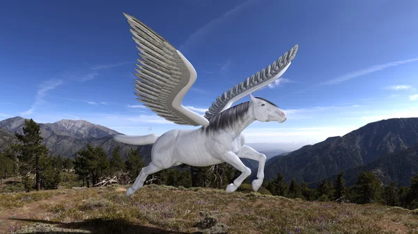 Pegasus Ordförande — Stockfoto